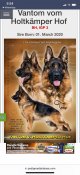 Letacek-z-woring-dog